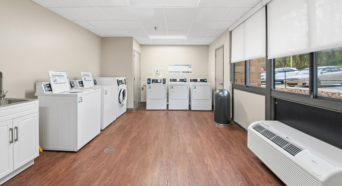 Tulipwood14 Tulipwood laundry